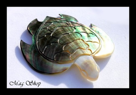 Tortue Nacre de Tahiti de Collection Taille 10cm X 9 cm MAG.SHOP