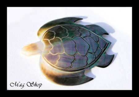 Tortue Nacre de Tahiti de Collection Taille 10cm X 9 cm MAG.SHOP